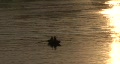 video clip 290227