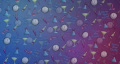 video clip 291821