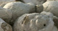 sulphur springs tower-23 Video