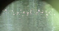 video clip 293281