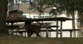 video clip 293697