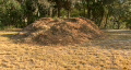 Compost Heap Video
