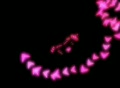 video clip 295219