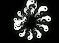 video clip 295251