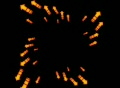 video clip 295257