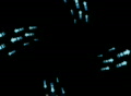 video clip 295383