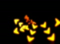 video clip 295641