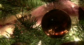 video clip 295807