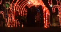 video clip 296835