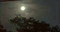 video clip 297051