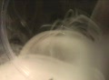 video clip 298113