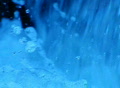 video clip 301505