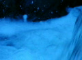 video clip 301593