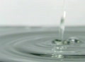 video clip 301669
