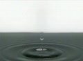 video clip 301673
