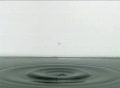 video clip 301675