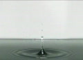 video clip 301679