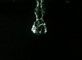 video clip 301691