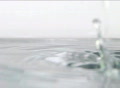 video clip 301703
