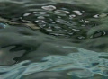 video clip 301707