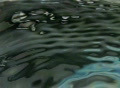 video clip 301711