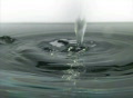 video clip 301787
