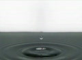 video clip 301809