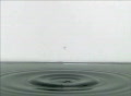 video clip 301817