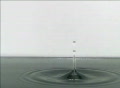 video clip 301821