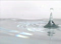 video clip 301937