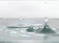 video clip 302193