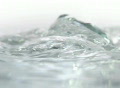 video clip 302195