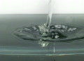 video clip 302199
