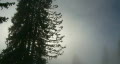 video clip 303373