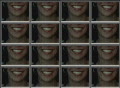 video clip 303493