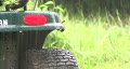 video clip 307647