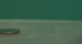 video clip 308737
