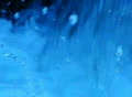 video clip 308757