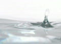 video clip 308759