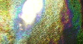 video clip 311713