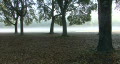 video clip 311881