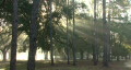 video clip 312141