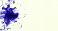 video clip 312303