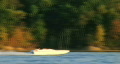 video clip 313197