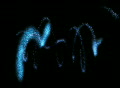 video clip 317099