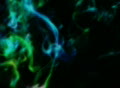 video clip 317749