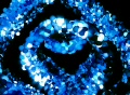 video clip 318719