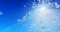 video clip 323627
