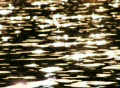 video clip 327487