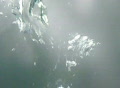 video clip 327493